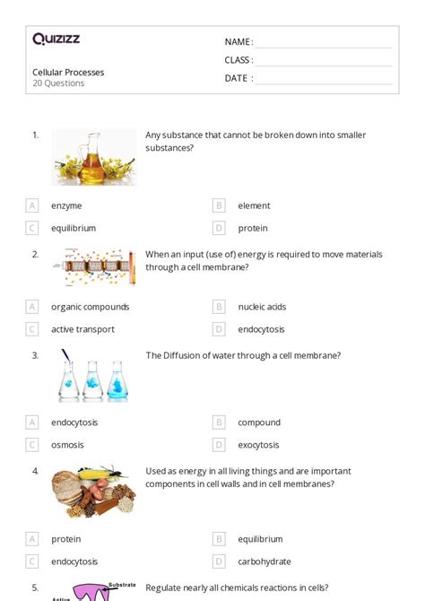 50 Membranes And Transport Worksheets For 9th Grade On Quizizz Free