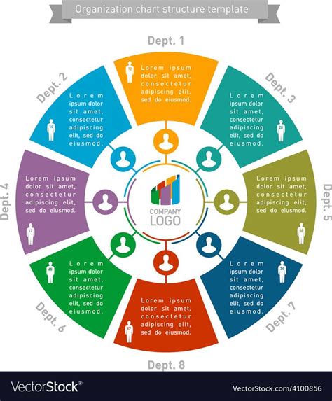 Organisational chart structure template vector image on VectorStock ...