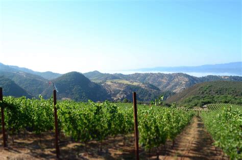 Miner Family Vineyards - California Winery Advisor