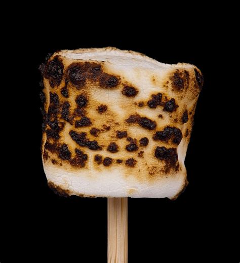 HD wallpaper: grilled marshmallow, roasted, toasted, fire, stick ...