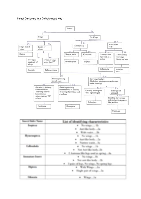 SOLUTION: Insect discovery dichotomous key answers research - Studypool