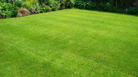 When to Apply Pre-Emergent Herbicide to Lawns - Hemlock Landscapes