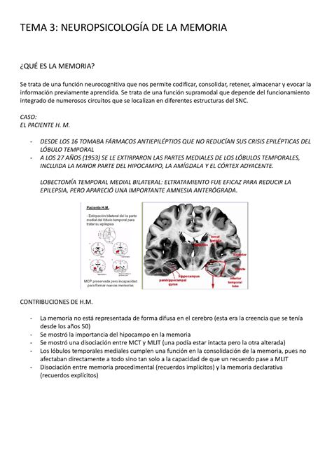 Tema Apuntes Tema Tema Neuropsicolog A De La Memoria Qu Es