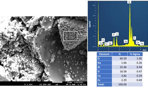 Sem Image And Edx Elemental Composition Of Cac Blend With