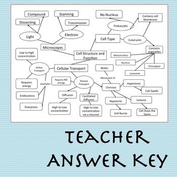 Cell Concept Map Worksheet Answers - World Map Gray