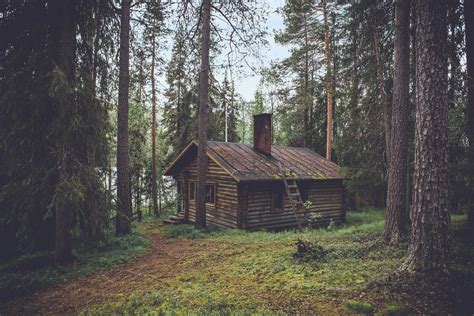 Forest House Wallpapers - Top Free Forest House Backgrounds - WallpaperAccess