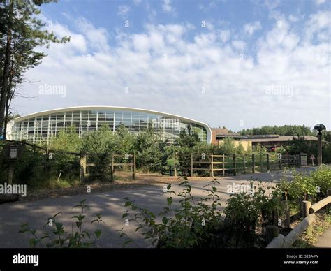 Center parcs Woburn Stock Photo - Alamy