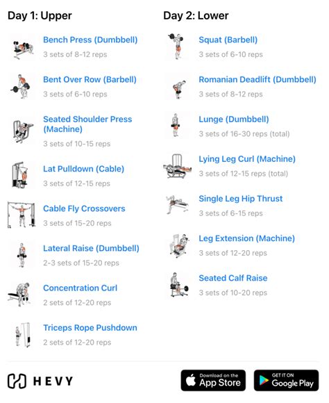 Full Body Workout Vs Upper Lower Split Bodybuilding | EOUA Blog