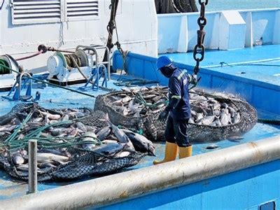 Manta Fishing Port - Manta, Ecuador - Commercial Fishing Ports on ...