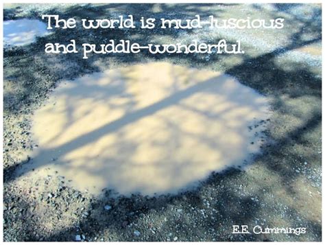 Quotes About Mud Puddles. QuotesGram