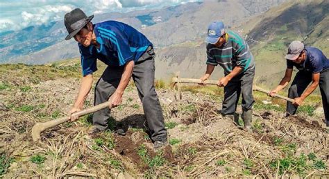 Bono agrario de cuánto es el nuevo subsidio y quiénes pueden acceder a el