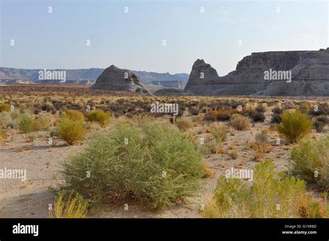desert landscape sand formations  res stock photography  images