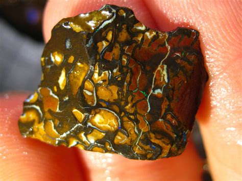 125 Cts Australien Boulder Matrix Opal Koroit Yowah Rough Roh Sammler