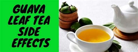 Guava leaf tea benefits and side effects you should know about - Legit.ng