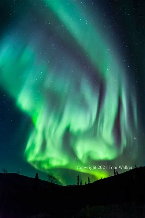 Alaska Aurora Borealis Photos | Tom Walker Photography