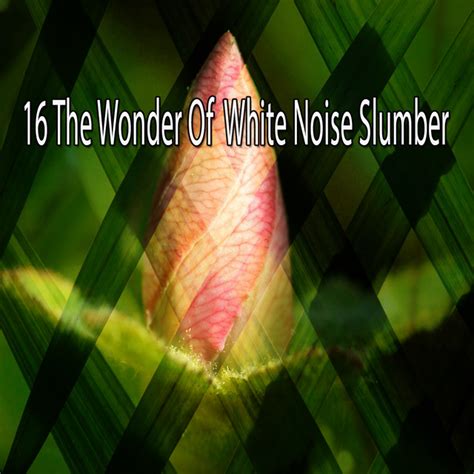 The Wonder Of White Noise Slumber Album By White Noise Baby Sleep