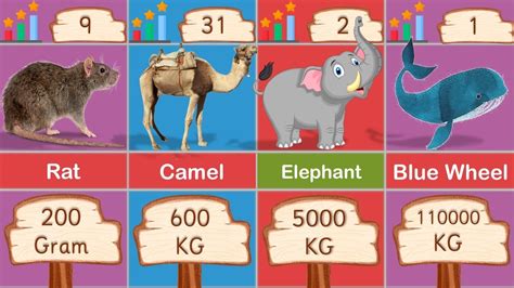 Animals Weight Comparison Animal Average Weight Ranking Heaviest