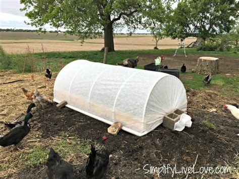 How To Cover A Raised Garden Bed To Extend Your Growing Season Simplify Live Love