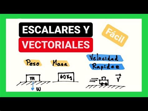 Diferencias Entre Cantidad Escalar Y Vectorial Una Explicaci N Completa