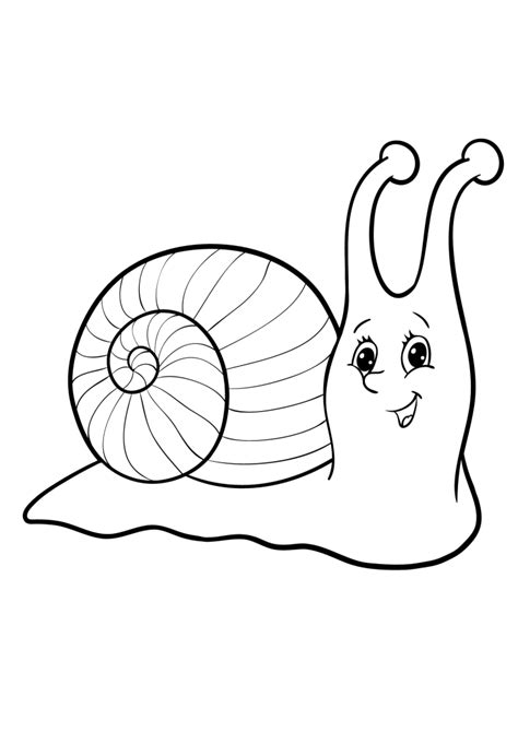 Snail - JORZ ART