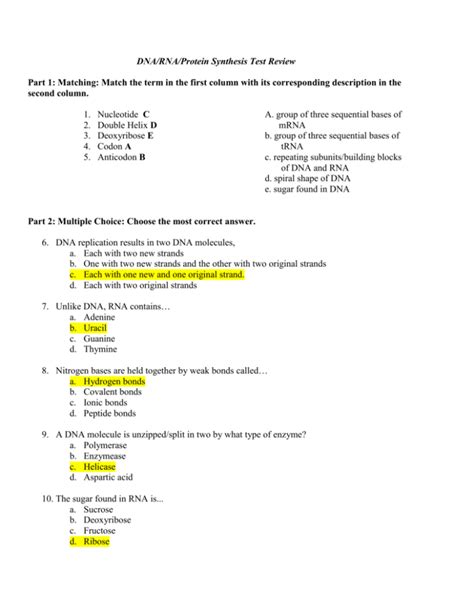 DNA/RNA/Protein Synthesis Test