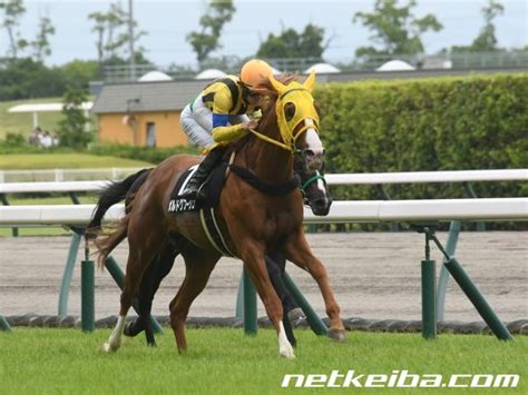 【有馬記念調教後馬体重】タイトルホルダー480キロ、エフフォーリア533キロ 競馬まとめ Netkeiba