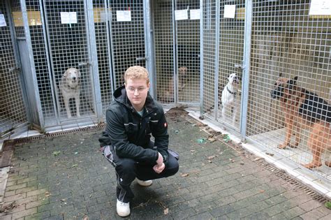 Neuss Auch Im Tierheim Bettikum Leiden Tiere An Silvester