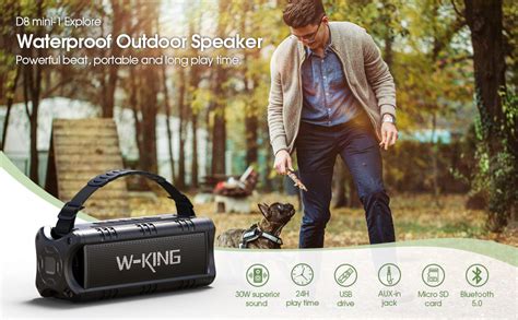 W King D Mini Bluetooth Speaker W Portable Wireless Loud Speakers