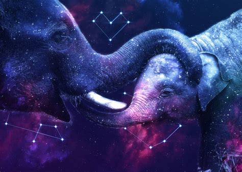 elephant wallpapers tumblr