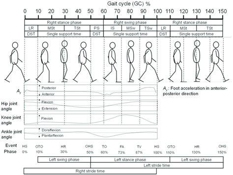 Illustration Of The Definitions Of A Gc Gait Phases Gait Events And Download Scientific