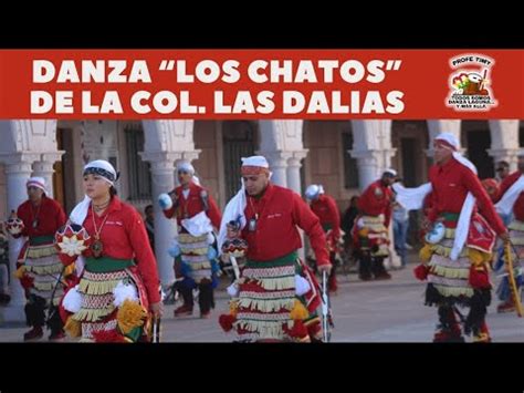 Los Chatos Danza San Judas Tadeo de La Col Las Dalias Torreón