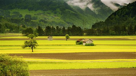 图片素材 景观 树 性质 结构体 厂 领域 草地 早上 爬坡道 花 谷 山脉 棚屋 绿色 农业 平原 草原