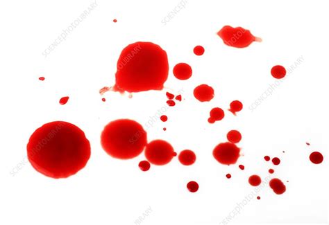 Blood spatter - Stock Image - C025/9029 - Science Photo Library