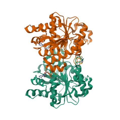 RCSB PDB 3FWY Crystal Structure Of The L Protein Of Rhodobacter