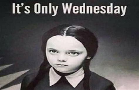 The 14 Perfect Wednesday Memes