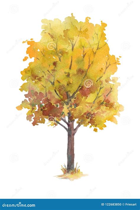 Autumn Tree With Yellow And Orange Leaves Isolated On White Background