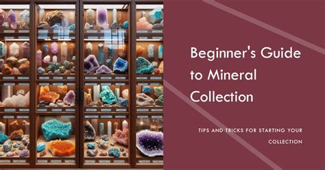 beginners guide  mineral collecting start  journey teeoutdoor