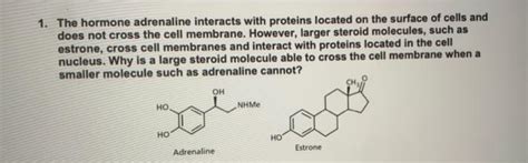 Solved 1 The Hormone Adrenaline Interacts With Proteins Chegg