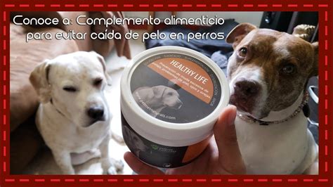 Conoce a Complemento alimenticio para evitar caída de pelo en perros I