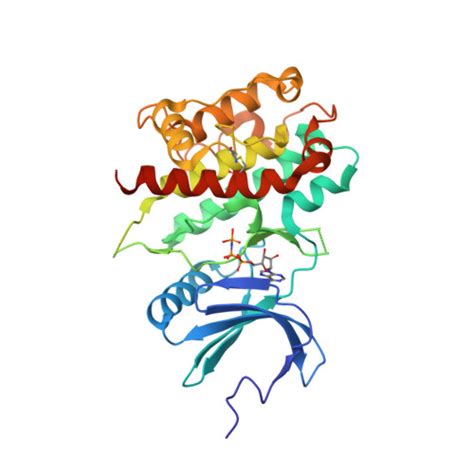 RCSB PDB 3KN5 Crystal Structure Of The C Terminal Kinase Domain Of