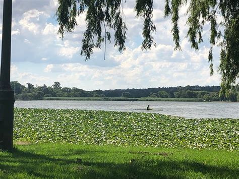 Florida Lake Roodepoort Atualizado 2019 O Que Saber Antes De Ir