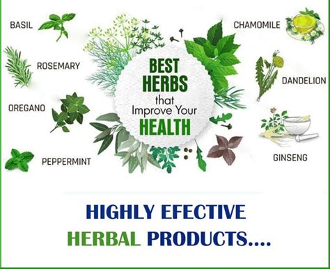 Top 10 Herbal Products Manufacturers In India 2024 Ranking