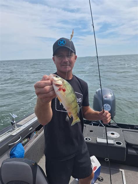 Lake Erie Perch Fishing – Fishing Addiction Gear