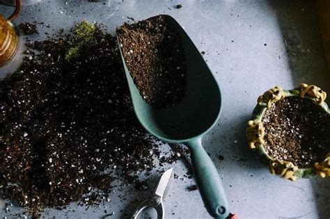 What Ratio Of Compost To Soil To Use Ready To Diy