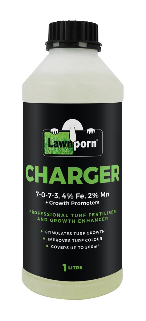 Lawn Porn Charger Lt Randalls Hardware
