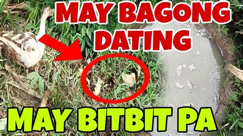 May Bago Tayong Kasama Gawaan Natin Ng Paliguan Buhay Bukid Youtube