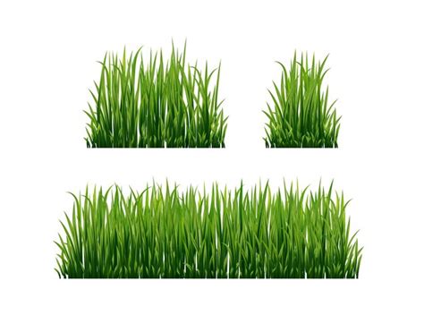 Premium Vector A Set Of Grass With The Word Grass On It