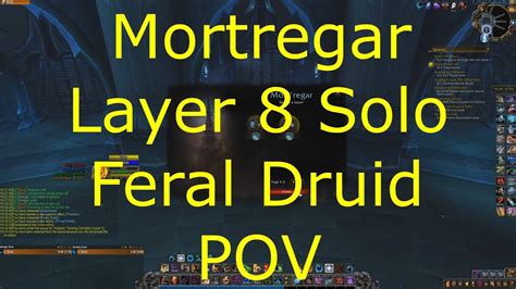 Shadowlands 9 0 2 Feral Druid POV Solo Torghast Mortregar Layer 8