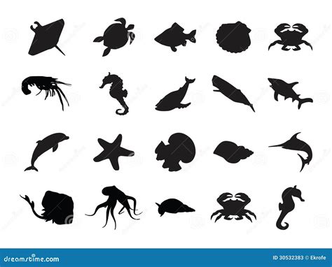 Ensemble De Silhouettes De 20 Animaux Marins Photos Stock Image 30532383