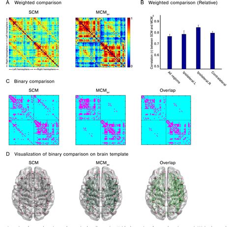 Figure 4 From Exploring Individual Brain Variability During Development